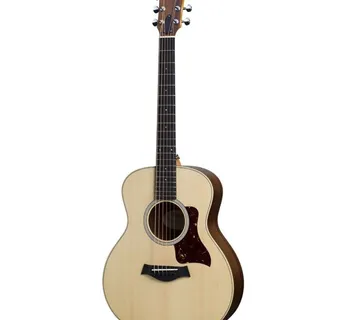TAYLOR GS MINI-e ROSEWOOD - cover