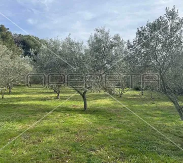 Punta Križa, Mali Lošinj, 4.260,00 m2, 249.000,00 EUR