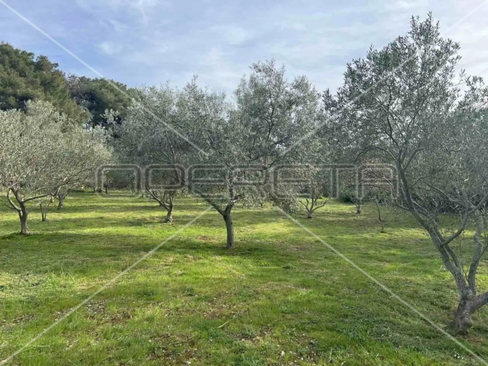 Punta Križa, Mali Lošinj, 4.260,00 m2, 249.000,00 EUR - cover