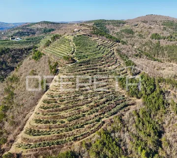 Veliko imanje od 170 000 m2 s predivnim pogledom - cover