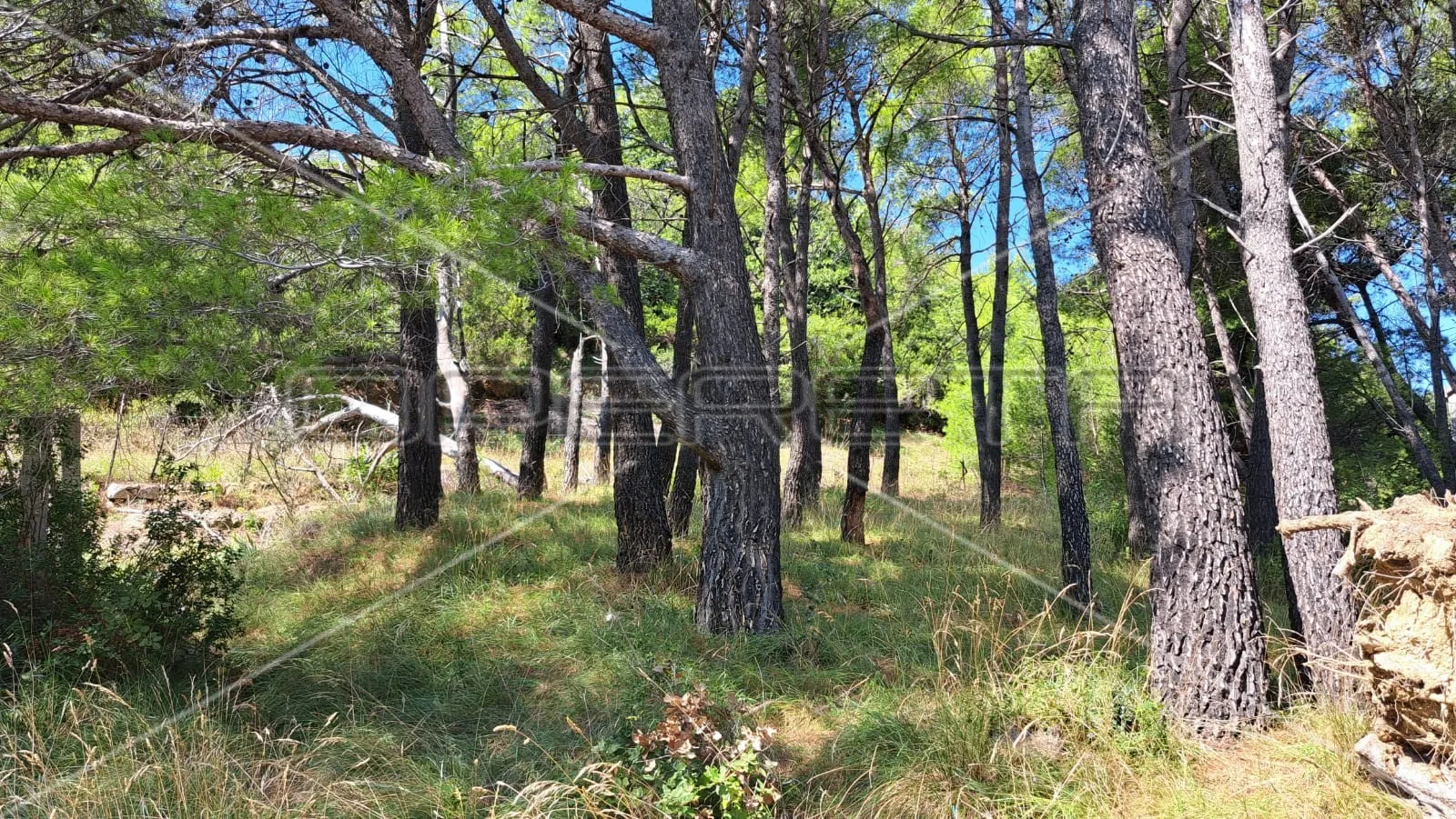 Mundanije, Rab, 791,00 m2, 59.000,01 EUR - cover