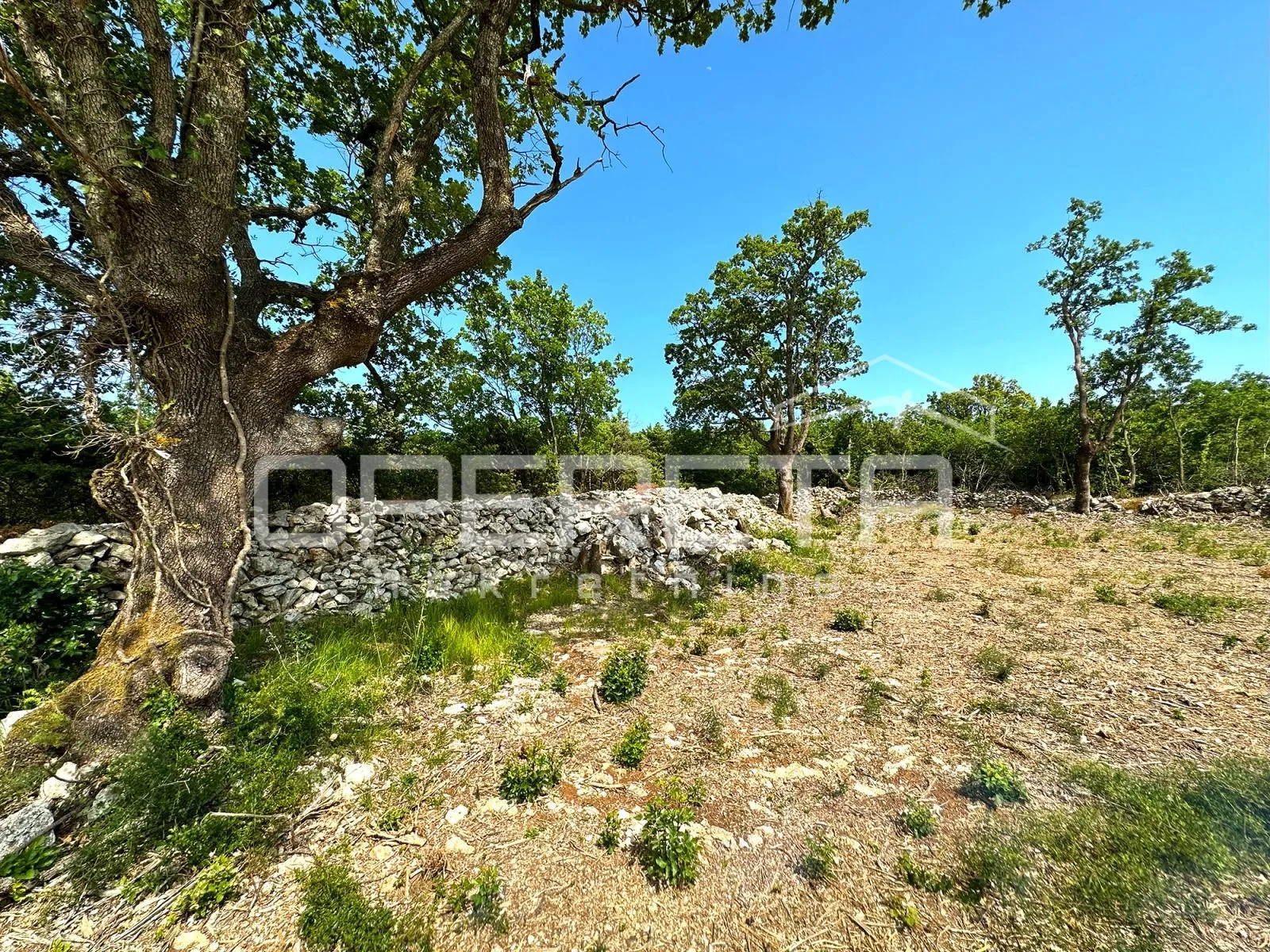 Prostano građevinsko zemljište s pogledom na more 8600m2 - cover