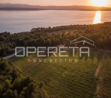 *** Bol, Brač - predivno imanje s dvije kuće s pogledom na more ***