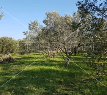 Građevinsko zemljište, 961 m2, do mora 700 m, Sukošan, Zadar - cover
