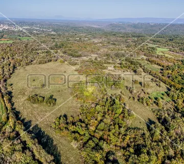 Prostrano poljoprivredno zemljište 67900m2 Marčana - cover