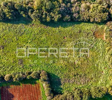 Investicija, Šišan poljoprivredno zemljište na više čestica ukupno 12.824 m2 - cover
