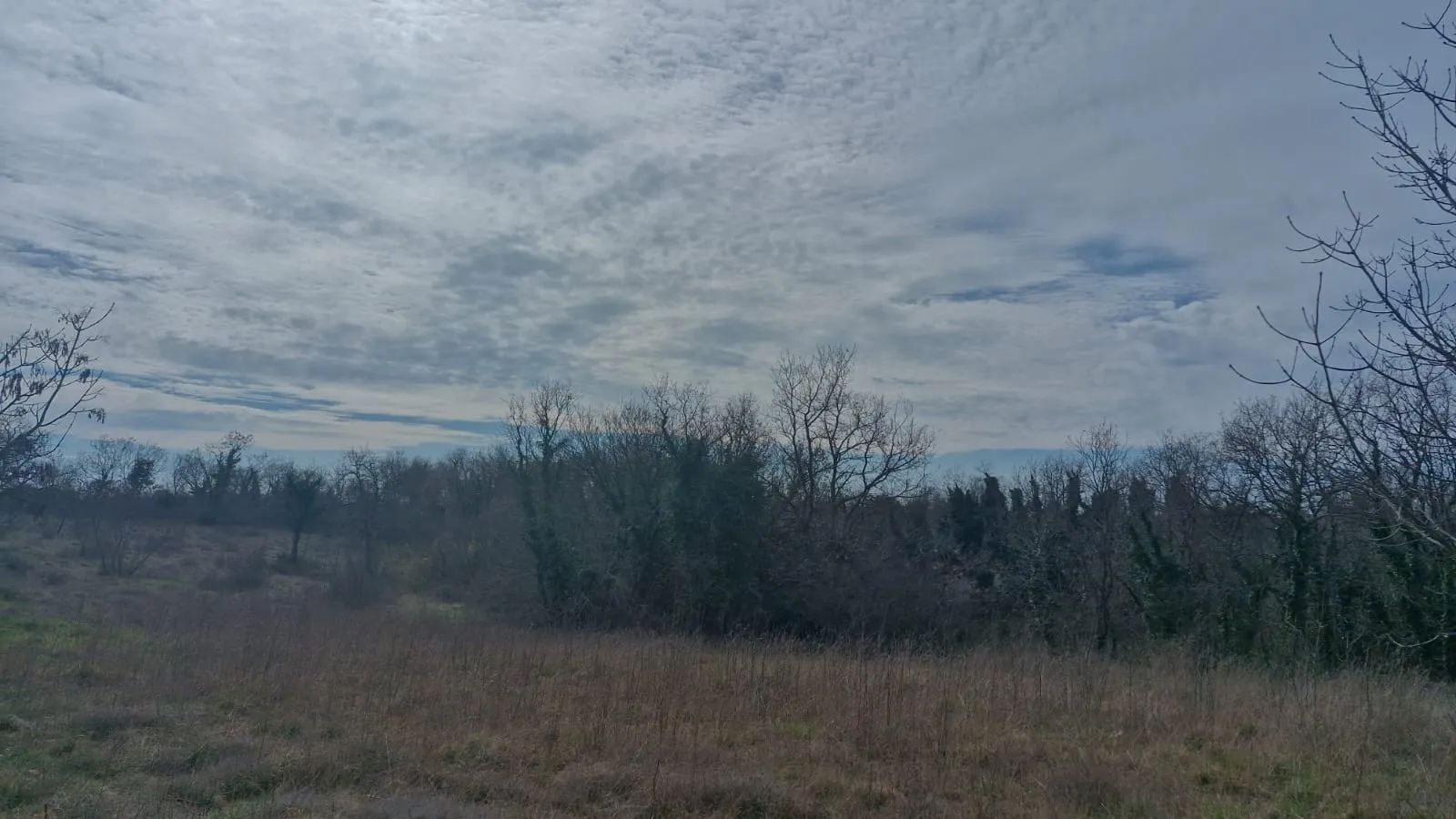 ZEMLJIŠTE, PRODAJA, MARČANA, 22895 M2 - cover