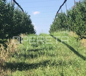 Banska Kosa, Zemljište, 2.200.000,00 EUR - Beli Manastir