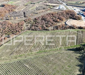 Posedarje - Gospodarsko zemljište 25.000 m² uz magistralu - cover