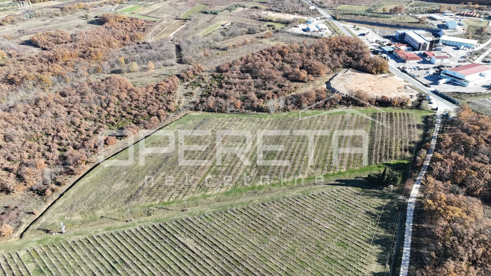 Posedarje - Gospodarsko zemljište 25.000 m² uz magistralu - cover