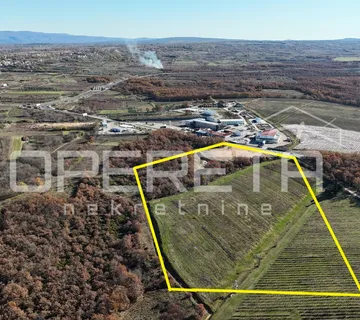 Posedarje – gospodarsko zemljište 25.000 m² uz magistralu, top lokacija - cover