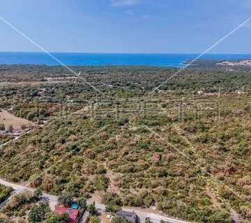 Istra, Vodnjan - okolica, poljoprivredno zemljište 21486 m2