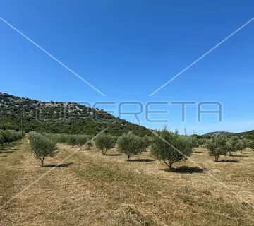 Poljoprivredno zemljište idealno za agroturizam, Dazlina, 45.000 m2 - cover