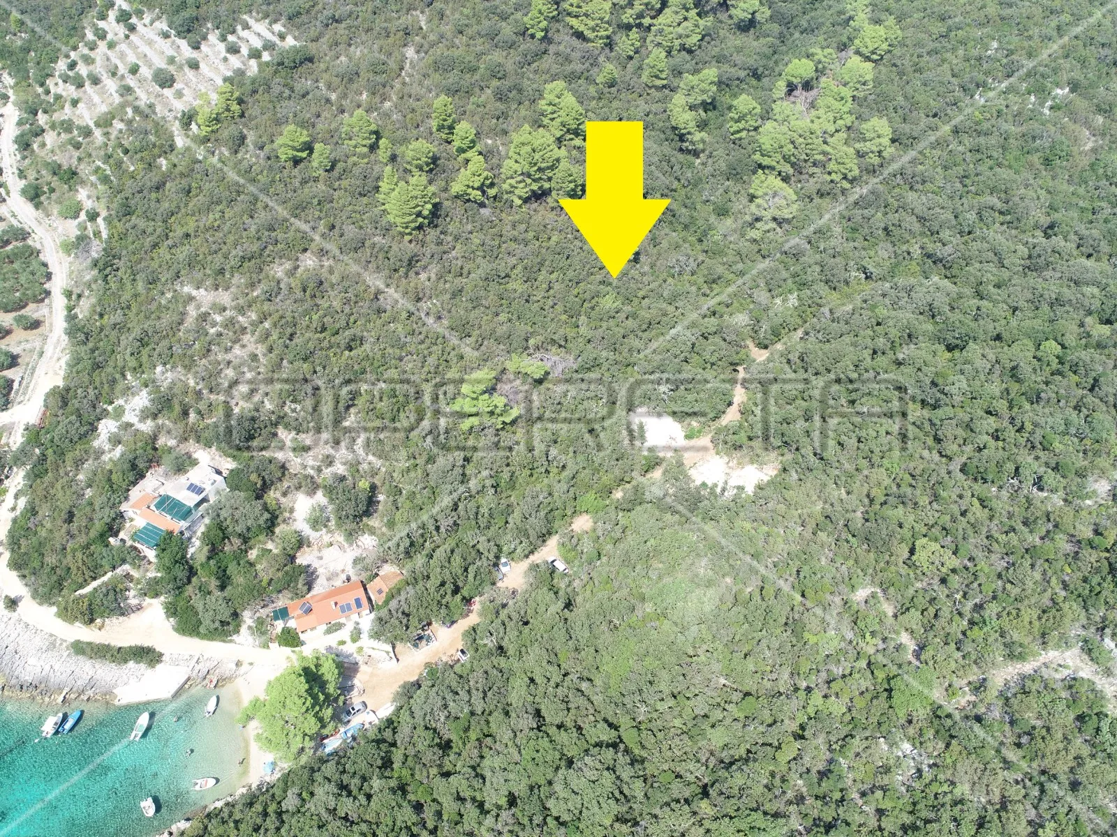 Zemljište 8.079 m2 blizu mora, uvala Rasohatica, Korčula - cover