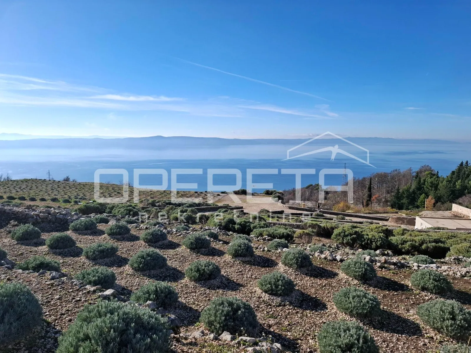 Podgora - poljoprivredno zemljište s panoramskim pogledom - cover