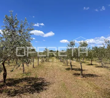 Juršići, Juršići, 2.449,00 m2, 83.000,00 EUR - cover