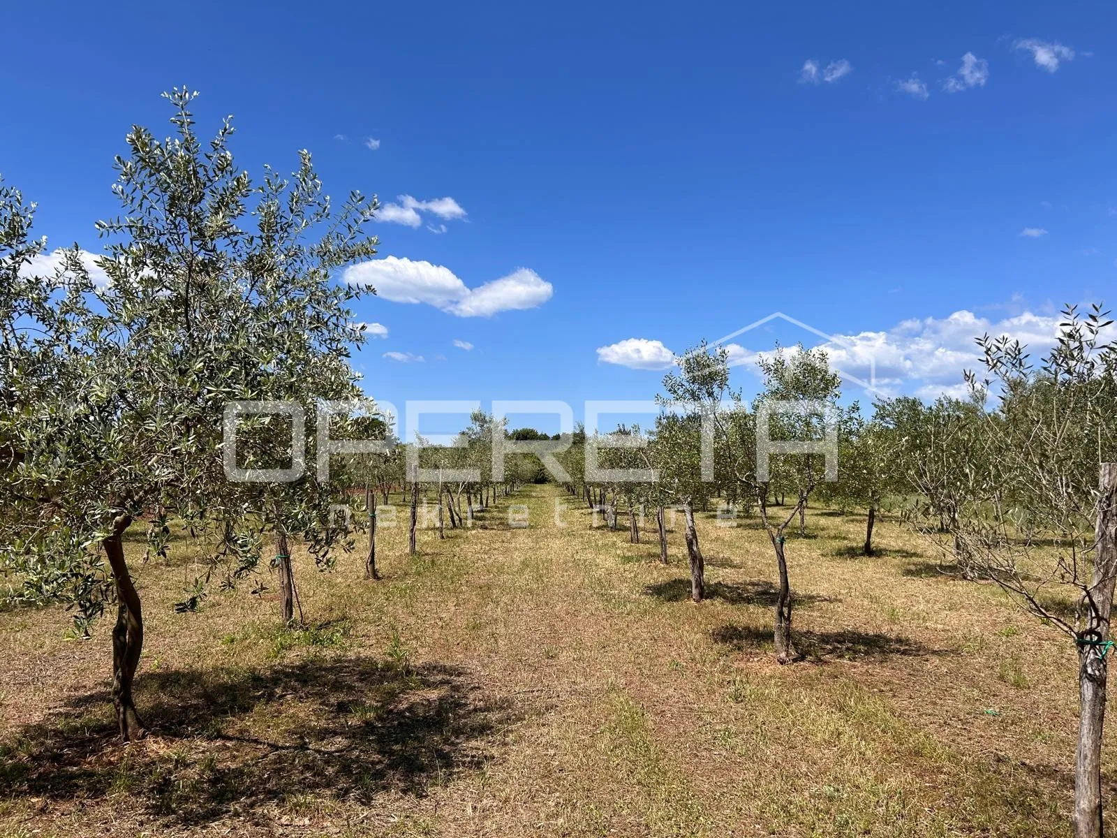 Juršići, Juršići, 2.449,00 m2, 83.000,00 EUR - cover