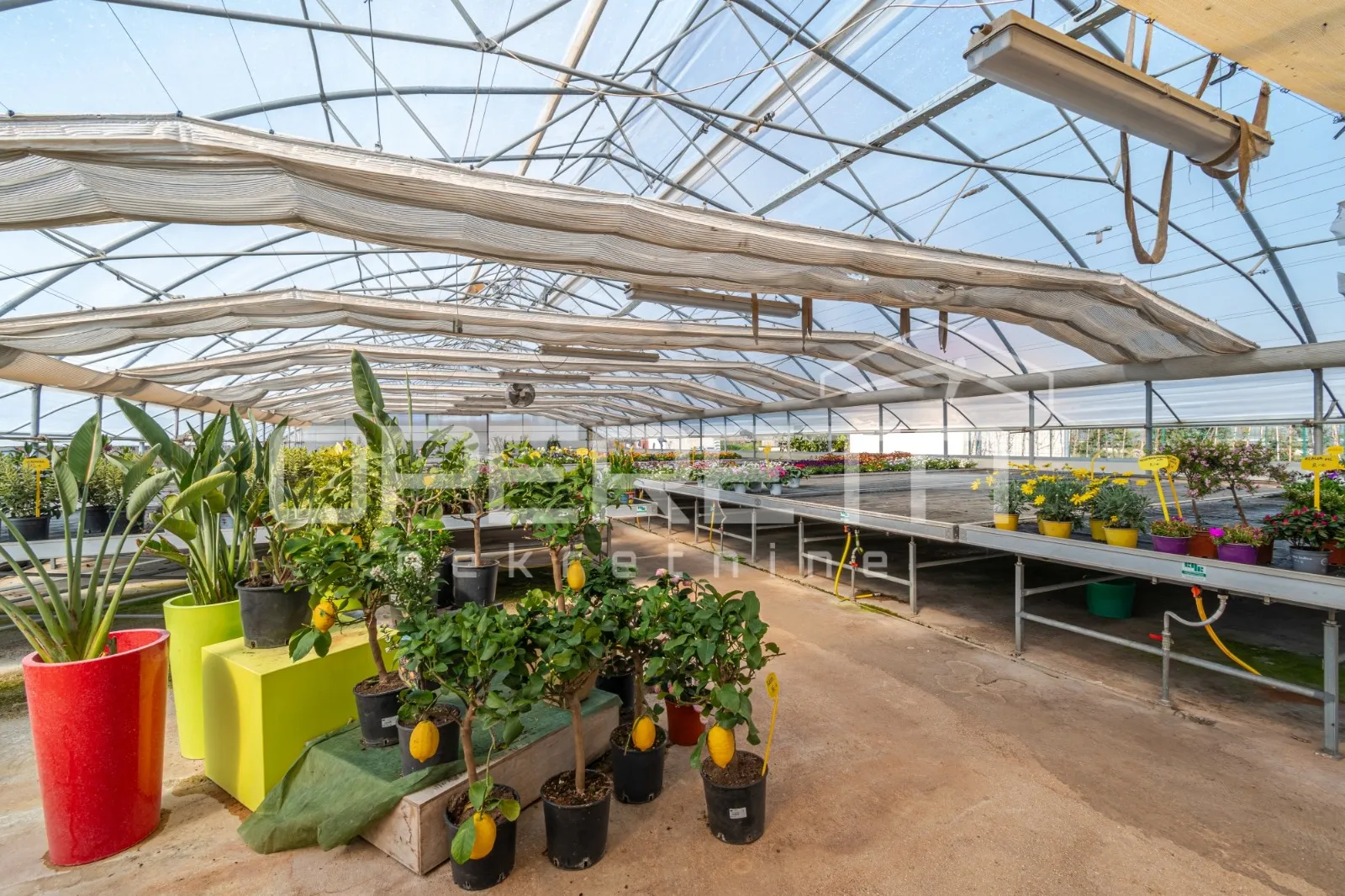 Rovinj, poljoprivredno imanje s plastenicima, gospodrskim zgradama i smještajem - cover