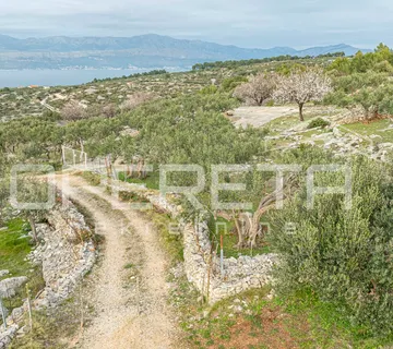 Poljoprivredno zemljište 14.049 m2 na Braču – rijetka mogućnost razvoja - cover