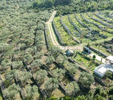 Poljoprivredno zemljište na Korčuli – 14.406 m2 za razvoj i ulaganje - cover