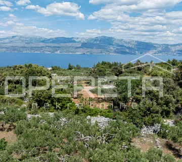 Poljoprivredno zemljište, 4.834 m2, Splitska, Brač - Splitska, Supetar