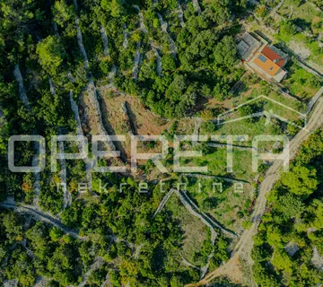 Poljoprivredno zemljište od 3050 m2 s maslinama i suhozidima - cover