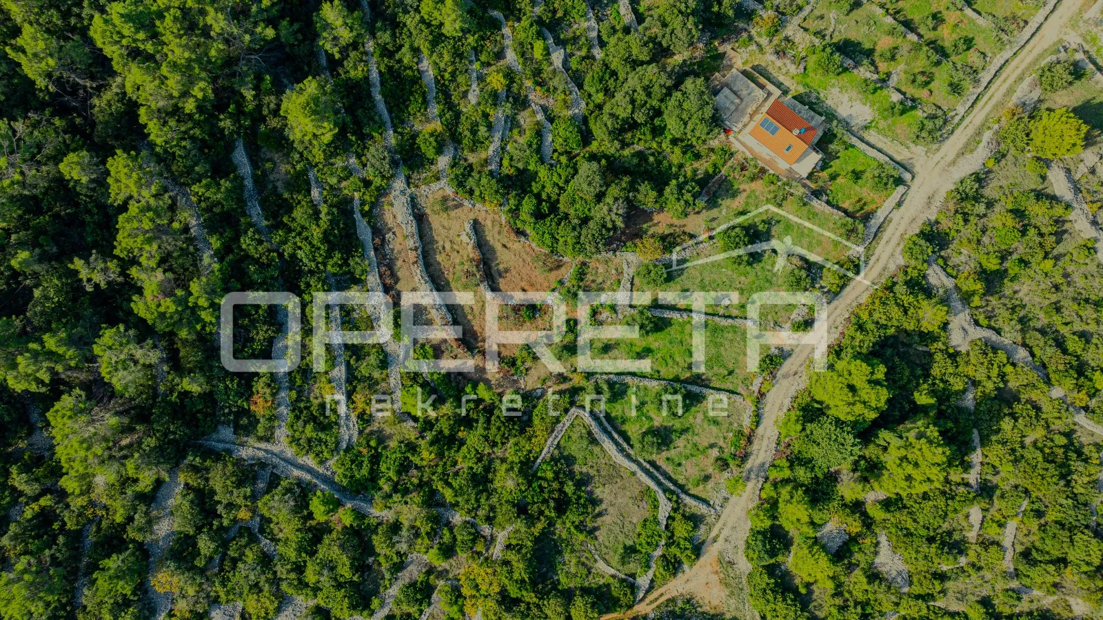 Poljoprivredno zemljište od 3050 m2 s maslinama i suhozidima - cover