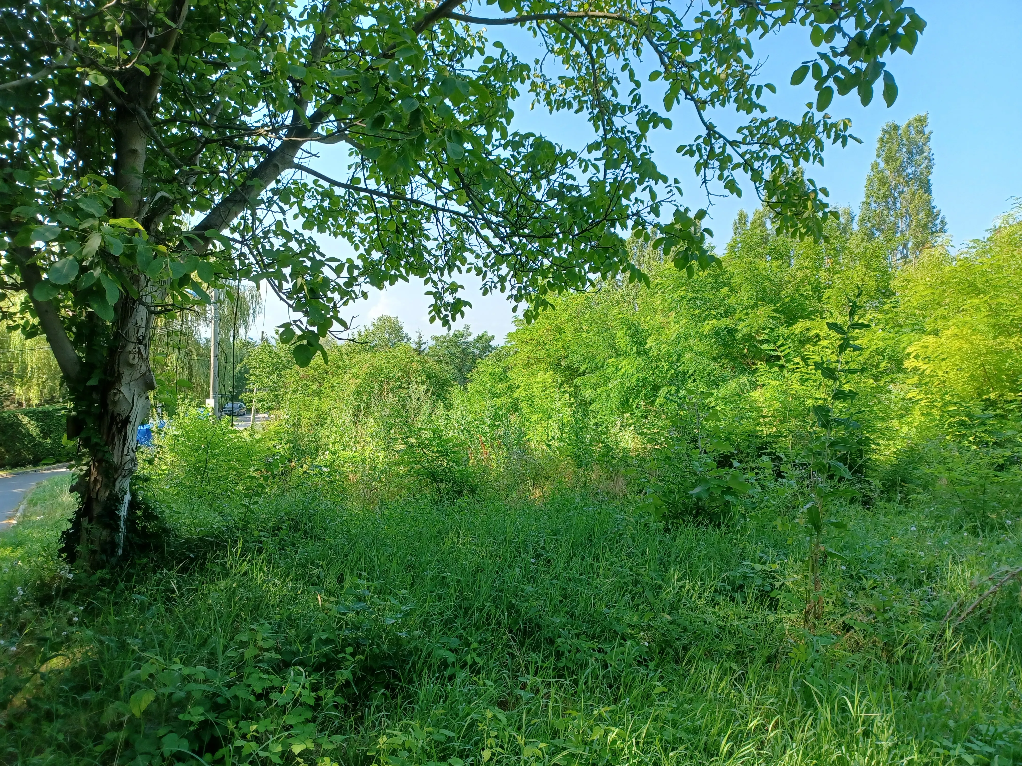 Perjavica, Gornji Stenjevec, 2.910,00 m2, 257.500,00 EUR - cover