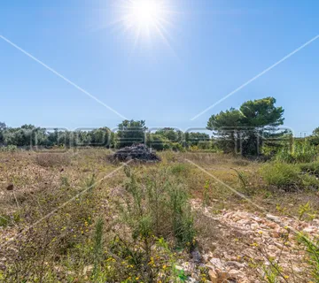 Ližnjan, Ližnjan, 769,00 m2, 153.800,00 EUR - cover