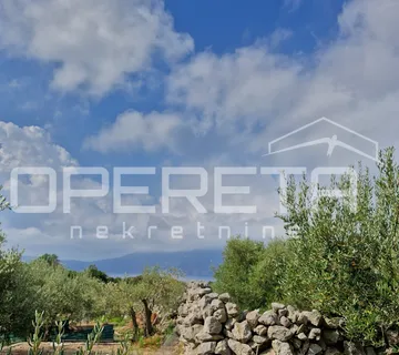 PRODAJA MASLINIKA S POGLEDOM NA MORE – IDEALNO ZA INVESTICIJU I ODRŽIVI TURIZAM - cover