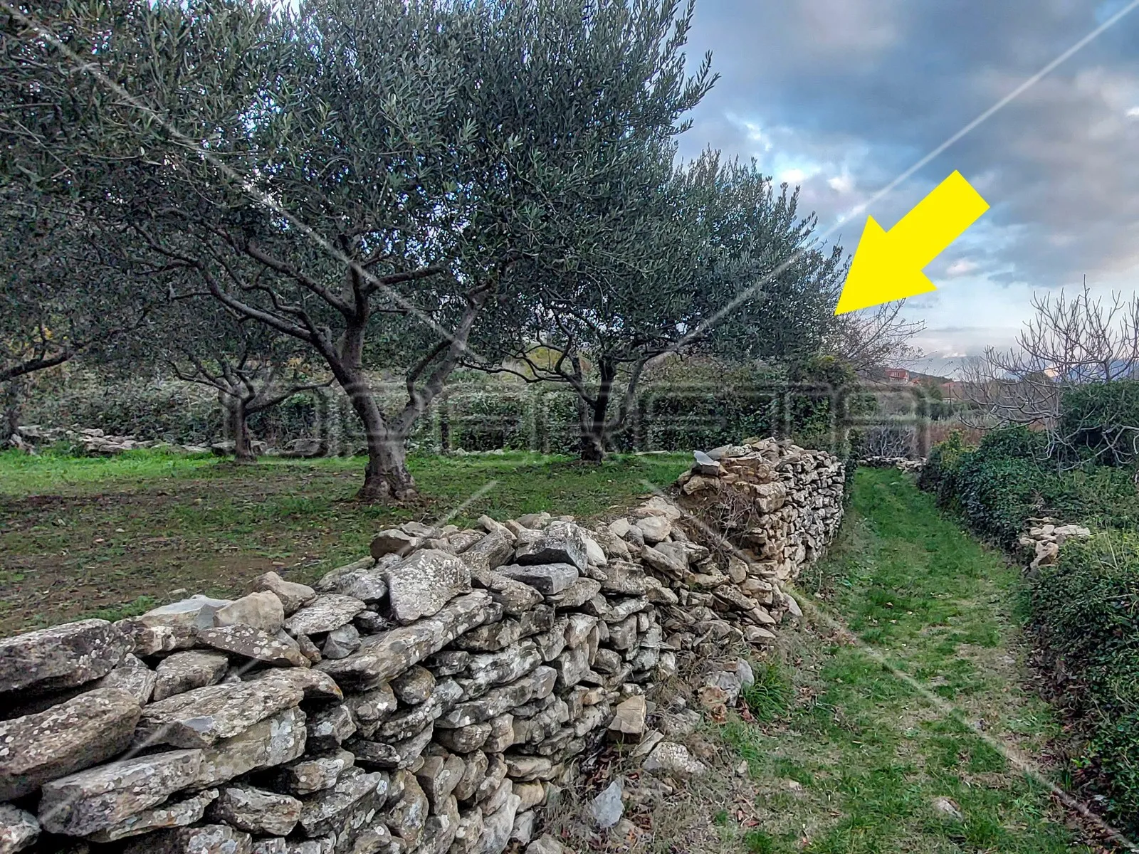 Tugare, Naklice, građevinsko i poljoprivredno zemljište 1.528 m2 - cover