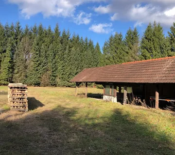 Rožman brdo bb, Vrbovsko, 40.212,00 m2, 1,00 EUR