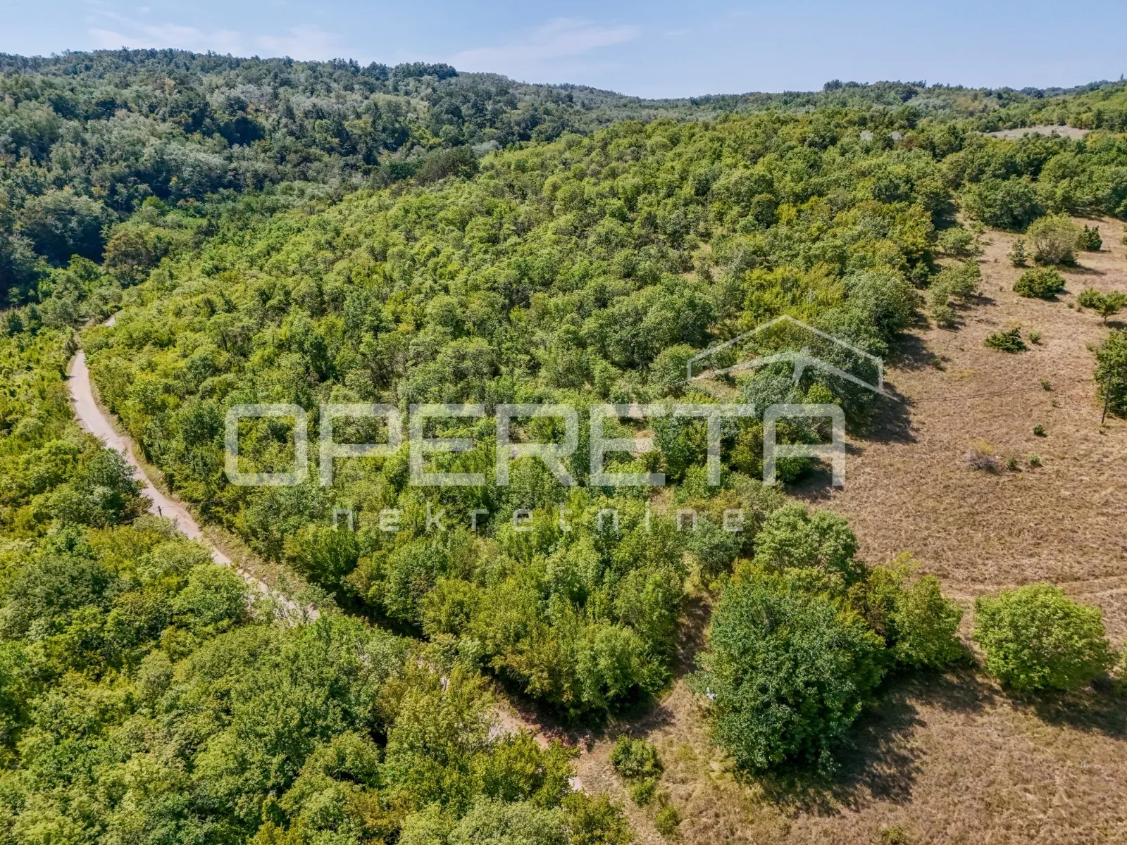 Istra, šuma u okolici Karojbe - cover