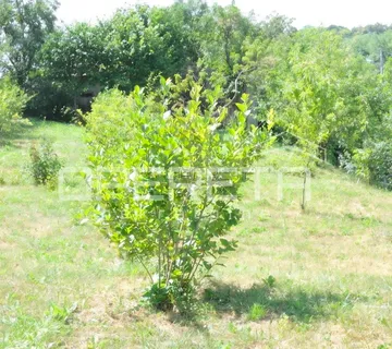 Perjavica, Perjavica, 5.328,00 m2, 850.000,00 EUR - cover