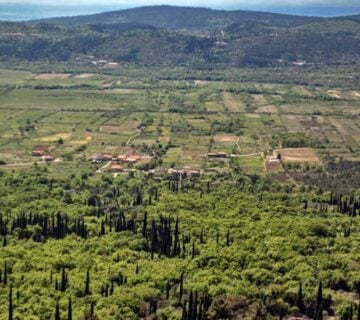 Poljoprivredno zemljište cca 4.400 m2, ravan teren, obradivo tlo - Dubrovnik okolica - cover