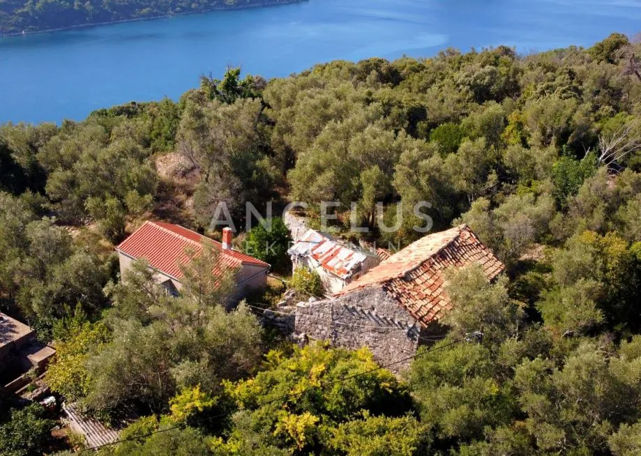 Otok Šipan, Šipanska Luka, vrlo atraktivan mini kompleks kamenih kućic - cover