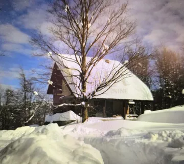 SAMO KOD NAS! NOVOSAGRAĐENA KUĆA U PREKRASNOM ŠUMSKOM AMBIJENTU - cover