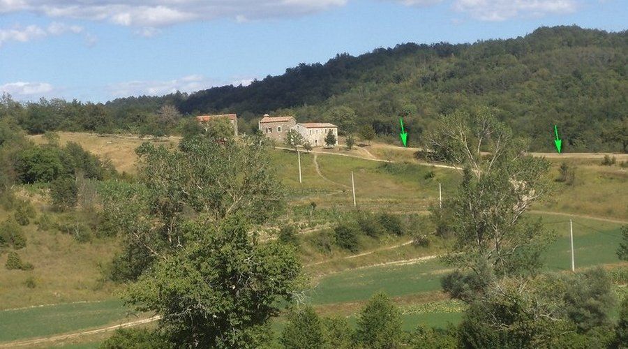 Fotografija