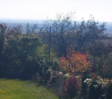 DALJ, zemljište s prekrasnim panoramskim pogledom na Dunav, PRILIKA! - cover