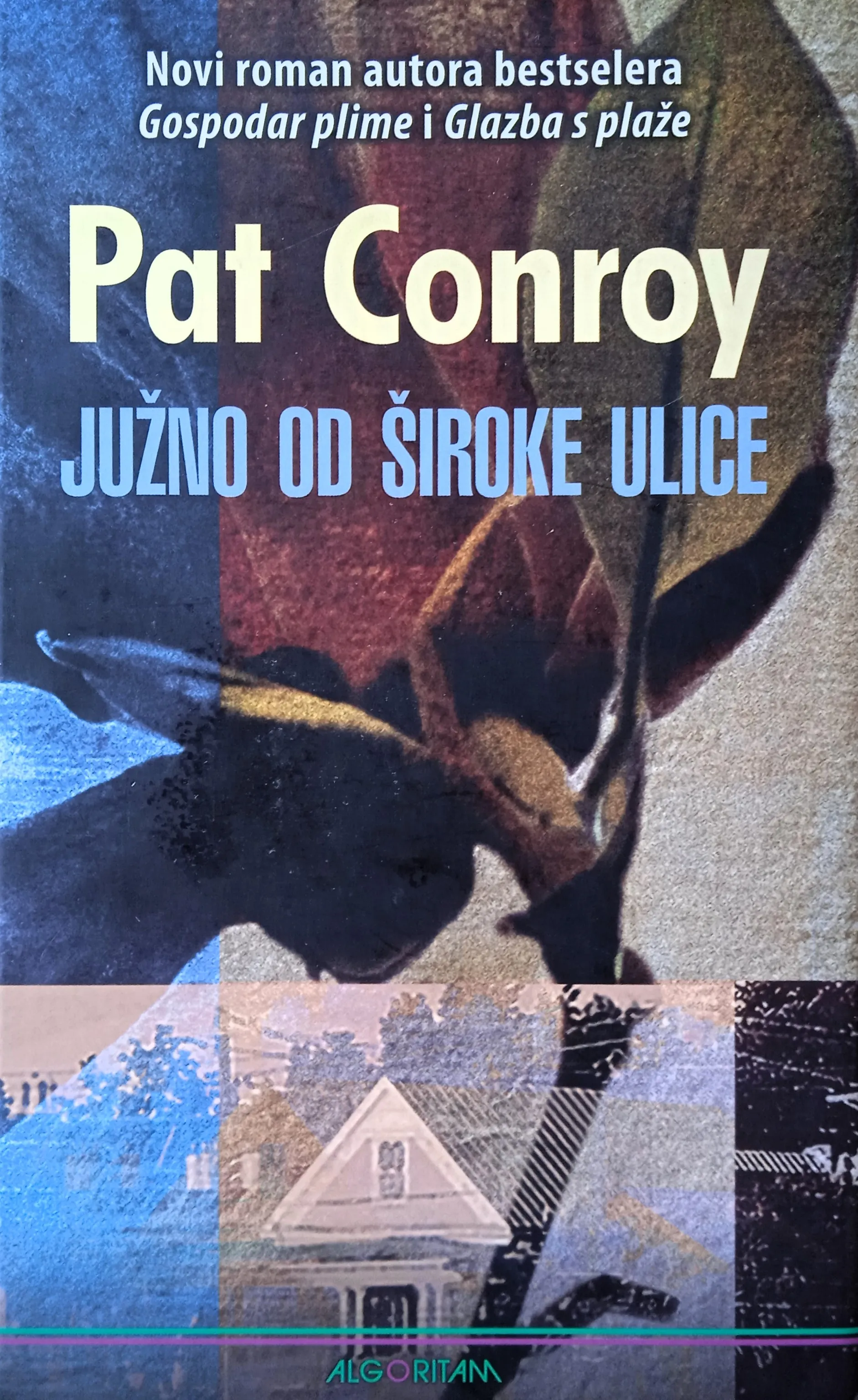 JUŽNO OD ŠIROKE ULICE Pat Conroy - cover