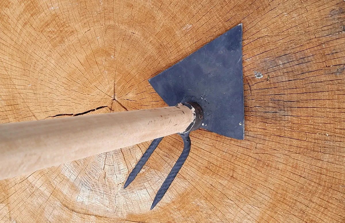 Motika mala vrtna - cover