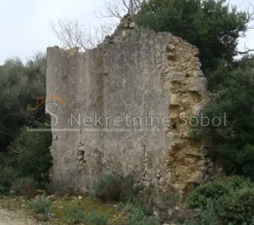 Cres, Punta Križa - Poljoprivredno, 65038 M2 Prodaja - cover