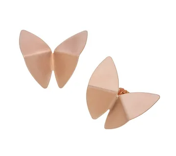 Leptir naušnice - cover