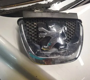 PEUGEOT 308 08-13 ZNAK BRANIKA - cover