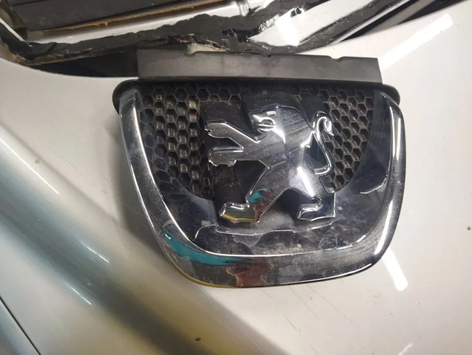 PEUGEOT 308 08-13 ZNAK BRANIKA - cover