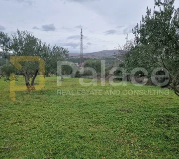 Uređeni maslinik, Dubrava kod Šibenika, 2798 m2 - Dubrava kod Šibenika, Šibenik