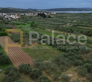 Poljoprivredno zemljište s obradivim maslinama, Jadrtovac, 2250m2