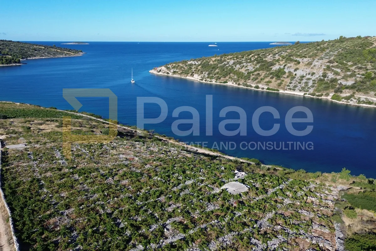 Rodni vinograd uz more u Primoštenu - Bucavac, 6305m2 - cover