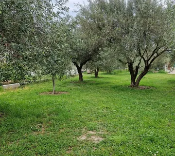 Poljoprivredno zemljište (Z) u širom centru grada Zadar, 564 m2