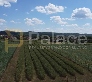 Poljoprivredno zemljište – Popovac, 5755 m² – Aronija, ekološki uzgoj